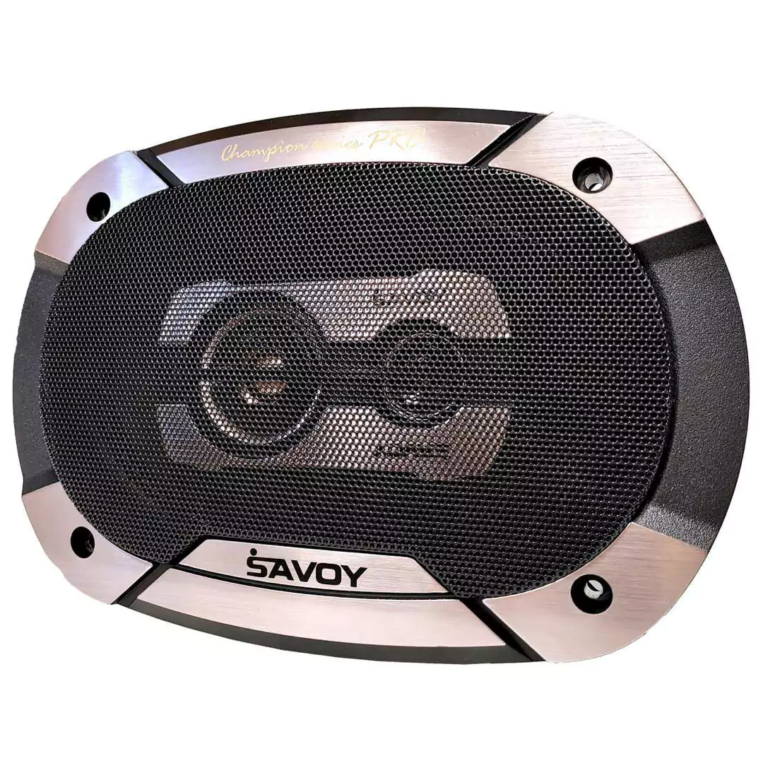 Savoy 6975 1 - بلندگو ساووی مدل SV-6975 V3