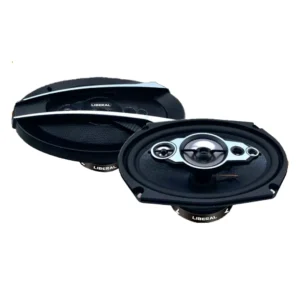 بلندگو لیبرال مدل Li-6941 libera Li 6941 1 300x300 - بلندگو لیبرال مدل Li-6941